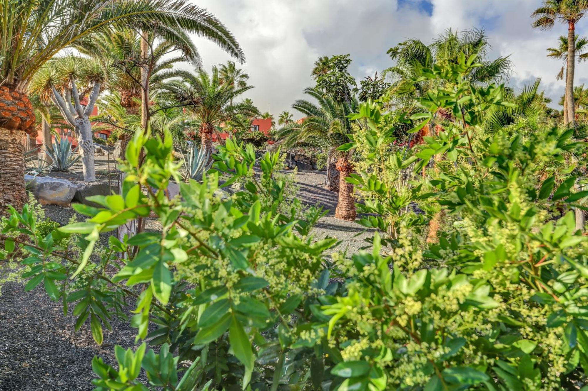 Oasis Royal Appartement Corralejo Buitenkant foto